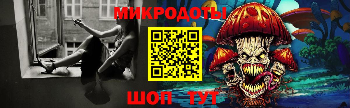Псилоцибиновые грибы Psilocybine cubensis Новоуральск
